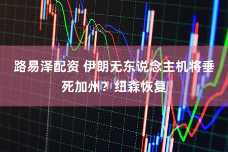 路易泽配资 伊朗无东说念主机将垂死加州?纽森恢复