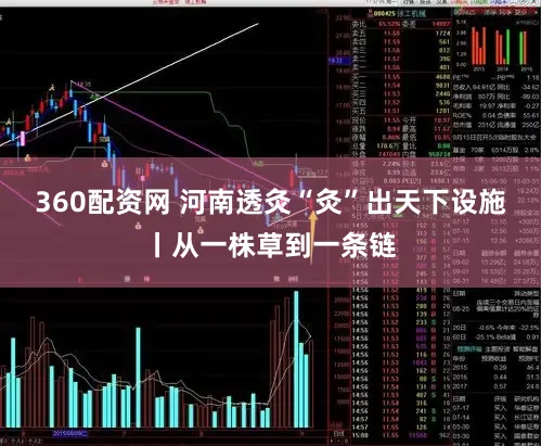 360配资网 河南透灸“灸”出天下设施丨从一株草到一条链
